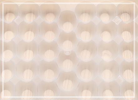 34 Cells Clear PP Plastic Egg Storage Tray Box