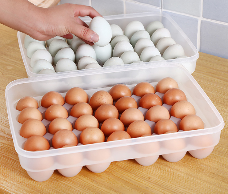 34 Cells Clear PP Plastic Egg Storage Tray Box