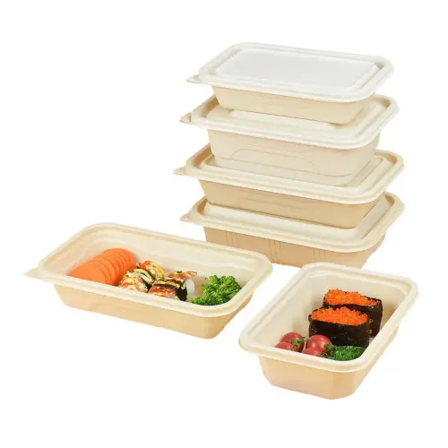 Out disposable lunch box plastic bento meal prep container leak proof water proof with lid