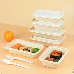 Out disposable lunch box plastic bento meal prep container leak proof water proof with lid
