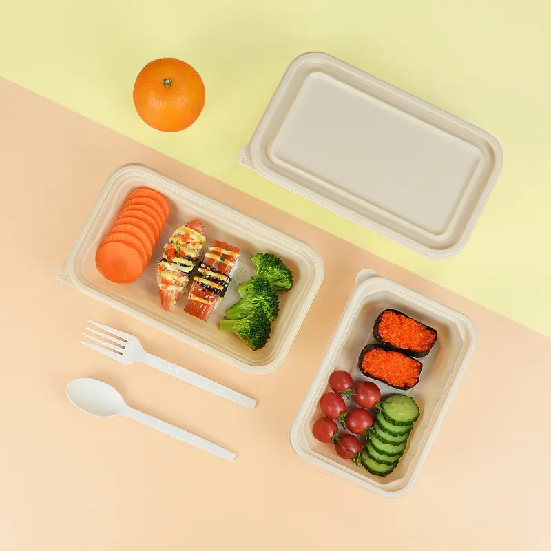 Out disposable lunch box plastic bento meal prep container leak proof water proof with lid