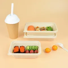 Out disposable lunch box plastic bento meal prep container leak proof water proof with lid