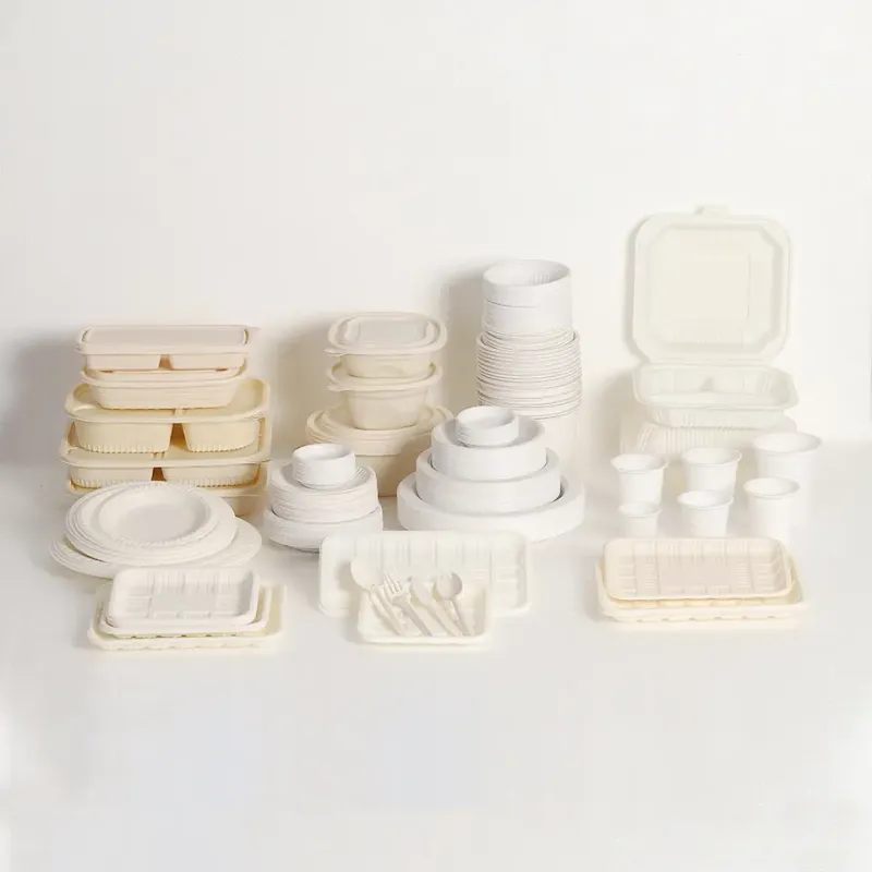 Out disposable lunch box plastic bento meal prep container leak proof water proof with lid