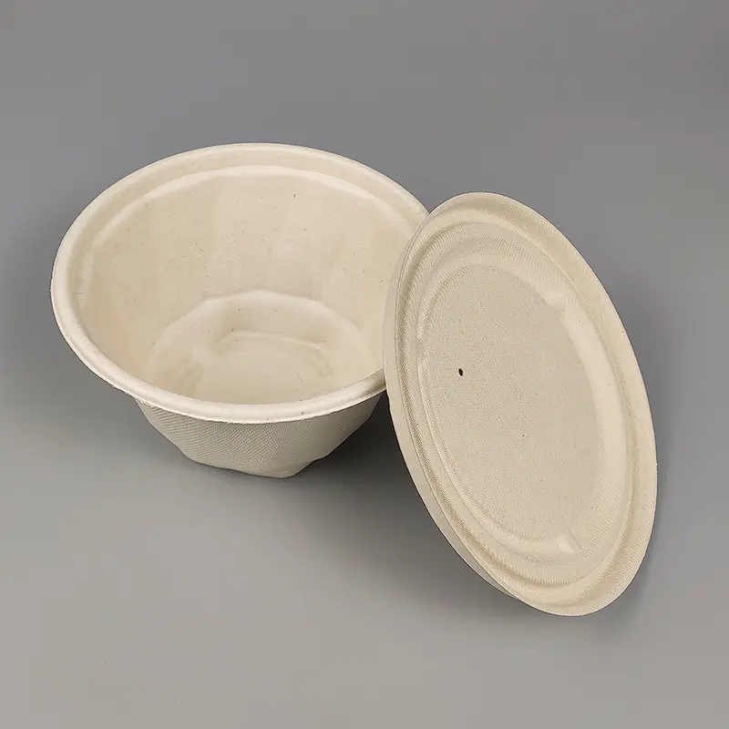 Hot-selling biodegradable sugarcane pulp disposable bowl covered food container