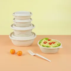 new arrival eco-friendly biodegradable cornstarch corn starch disposable bowl with lid