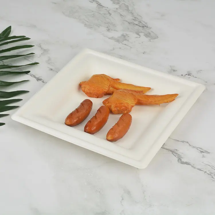 Wholesale Bagasse Pulp Paper Plate Disposable Biodegradable 6 Inch Cake Plate