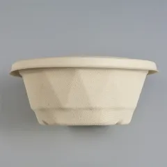 Hot-selling biodegradable sugarcane pulp disposable bowl covered food container