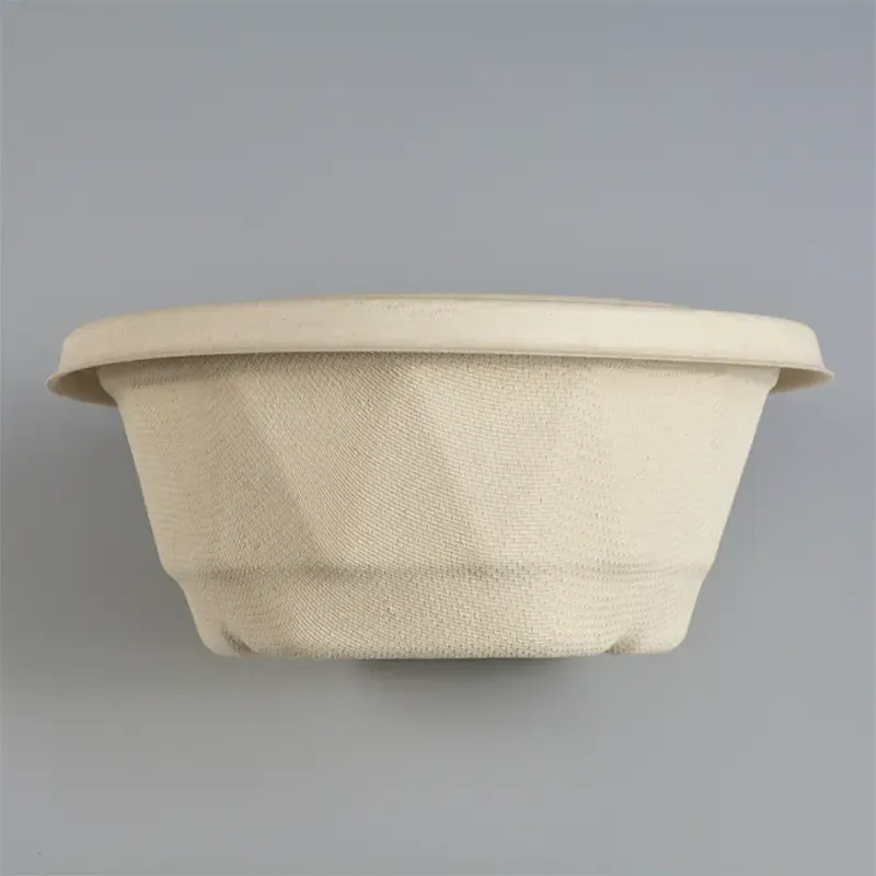 Hot-selling biodegradable sugarcane pulp disposable bowl covered food container