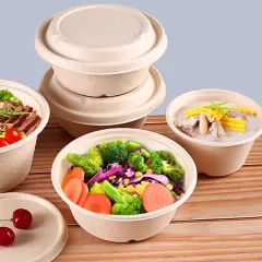 Hot-selling biodegradable sugarcane pulp disposable bowl covered food container