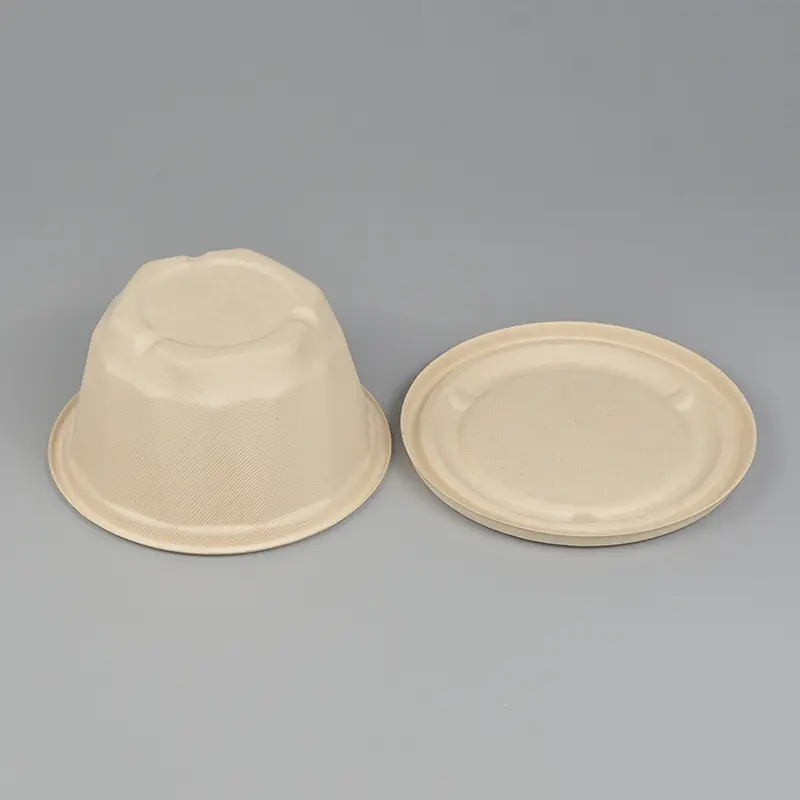 Hot-selling biodegradable sugarcane pulp disposable bowl covered food container