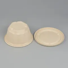 Hot-selling biodegradable sugarcane pulp disposable bowl covered food container