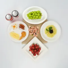Wholesale Bagasse Pulp Paper Plate Disposable Biodegradable 6 Inch Cake Plate
