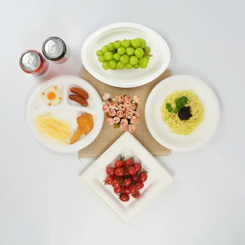 Wholesale Bagasse Pulp Paper Plate Disposable Biodegradable 6 Inch Cake Plate