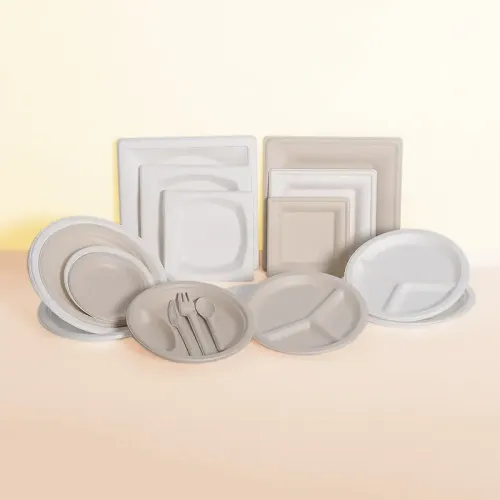 Wholesale Bagasse Pulp Paper Plate Disposable Biodegradable 6 Inch Cake Plate
