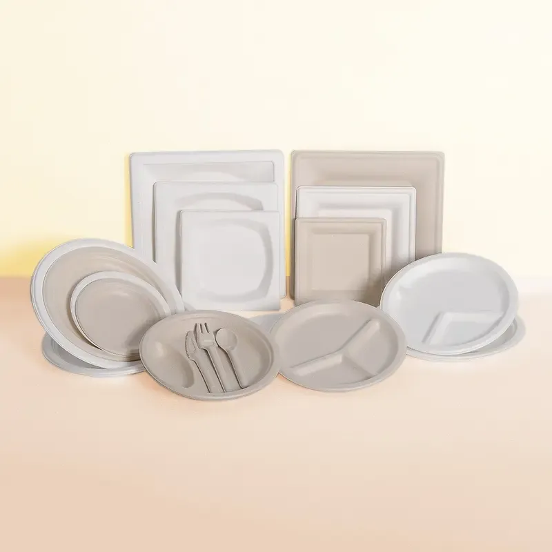 Wholesale Bagasse Pulp Paper Plate Disposable Biodegradable 6 Inch Cake Plate