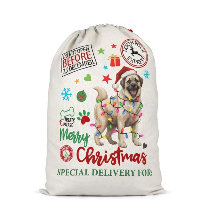 Hot-selling factory stock gift canvas bags, pure cotton eco-friendly drawstring bags, creative dinosaur pattern drawstring bags