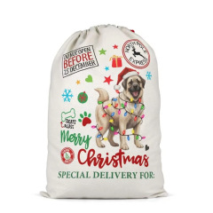 Hot-selling factory stock gift canvas bags, pure cotton eco-friendly drawstring bags, creative dinosaur pattern drawstring bags