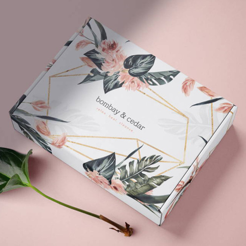 Colorful airplane packaging box custom corrugated paper cardboard mail delivery express gift packaging box