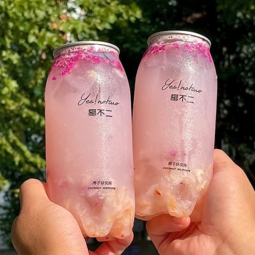 Disposable plastic cans PET beverage bottles 500ml plastic beer cans