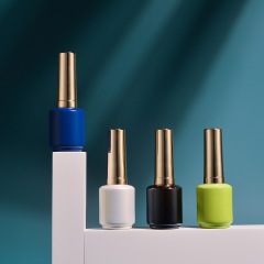 Gel nail polish bottle, special offer, empty 15ml bottle of colored gel nail polish, glass bottle.