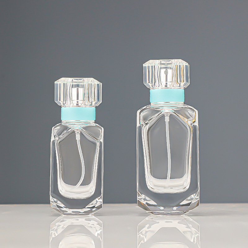 Wholesale 30ml100ml perfume glass bottle sub-bottle push-type spray bottle cosmetic perfume empty bottle