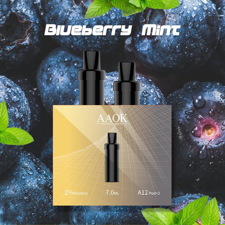AAOK A12D vape factory Blueberry Mint Refillable electronic cigarette 7ml cartridge