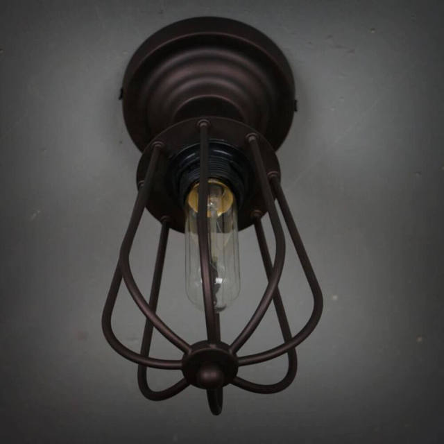 Industrial Metal One Heads grapefruit Corridor Ceiling Lamp Hallway Balcony American Country Rustic Ceiling Lights