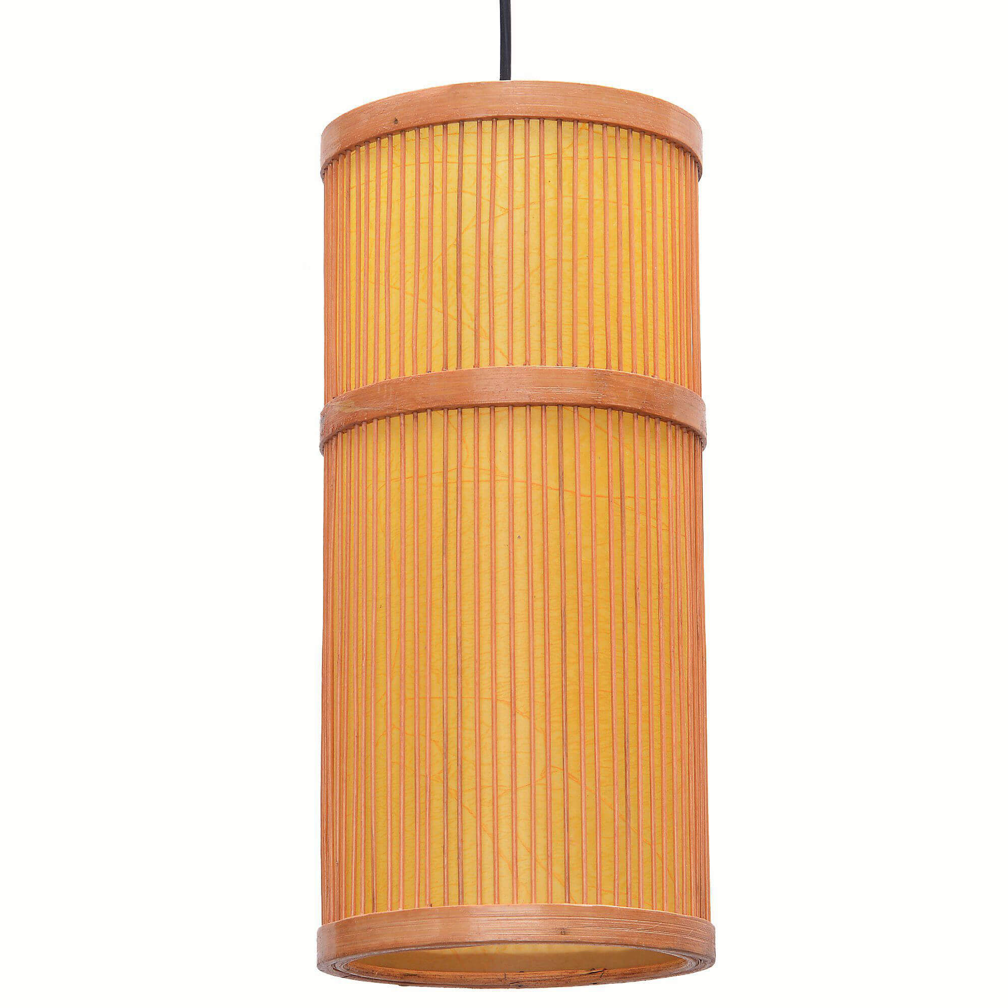 South Asian Hanging Light