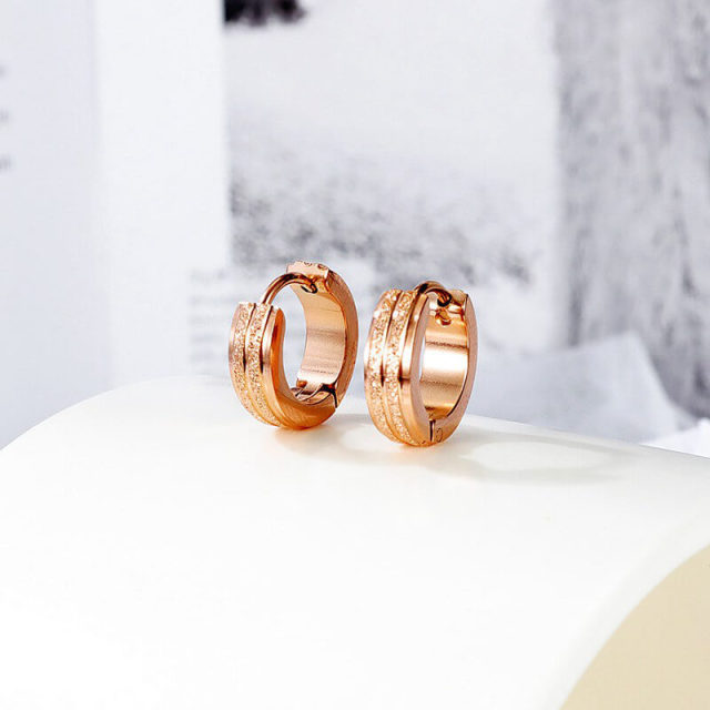 OOVOV Stainless Steel Frosted Ear Buckle,Titanium Steel Rose Gold Stud Earrings,Woman Zircon Stud Earrings Jewelry