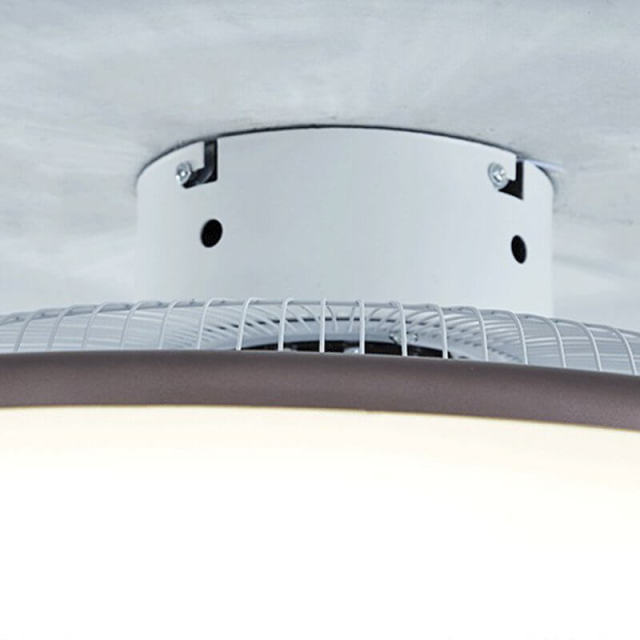 Enclosed Ceiling Fan with Led Lights 21.7 Inch Low Profile Ceiling Fan Light