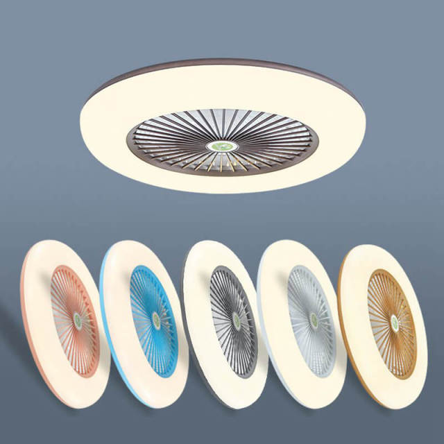 Enclosed Ceiling Fan with Led Lights 21.7 Inch Low Profile Ceiling Fan Light