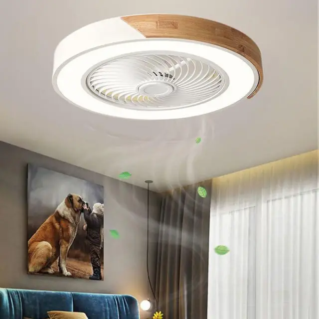 Ceiling Fan with Lights Enclosed Low Profile Ceiling Fan with LED Light 20 inch