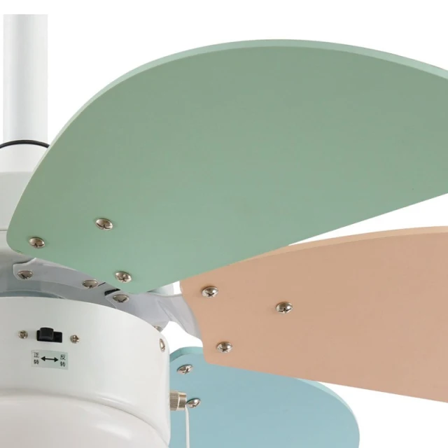 30 Inch Ceiling Fans with Light - With Multicolor Fan Blades and Glass Lampshade