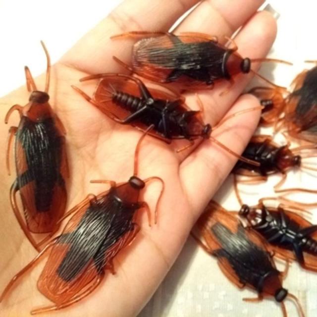 OOVOV 12pcs Halloween Fake Cockroach Halloween Party Decoration Trick Props Artificial Roach Bug Party Supplies Kids Favor