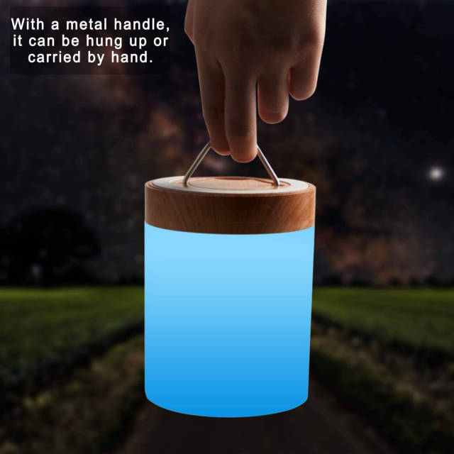 Night Light OOVOV Touch Lamp for Bedrooms Living Room Portable Table Bedside Lamps with Rechargeable Internal Battery Dimmable 2900K-3200K Warm White Light &amp; Color Changing RGB