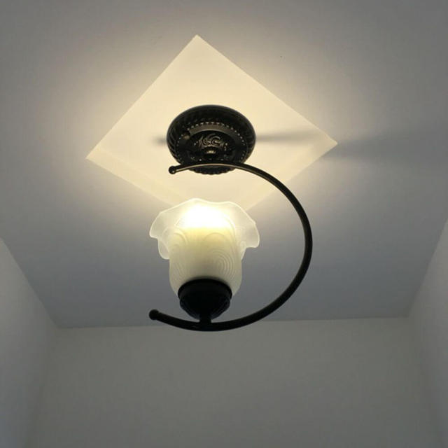 OOVOV Hallway Ceiling Lights Classic Black Iron Ceiling Light With Glass Lamp Shade