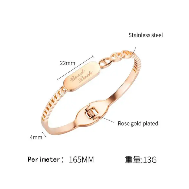 OOVOV Women's Jewelry Hinged Rose Gold Bangle Bracelet,Classic Stainless Steel Bangle with Cubic Zirconia for Mom Lover Friends Gift