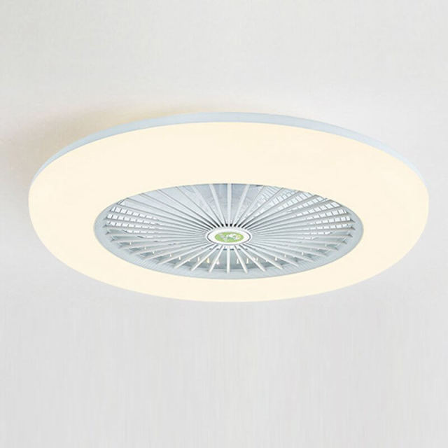 Enclosed Ceiling Fan with Led Lights 21.7 Inch Low Profile Ceiling Fan Light