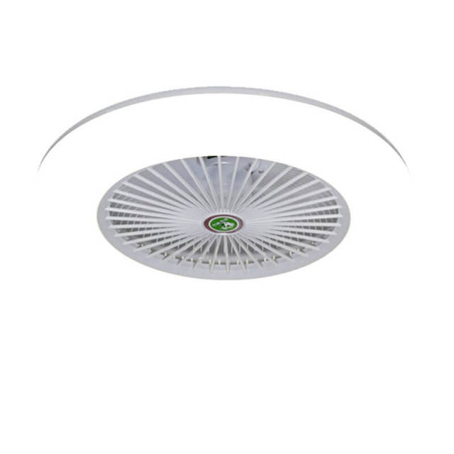 Enclosed Ceiling Fan with Led Lights 21.7 Inch Low Profile Ceiling Fan Light