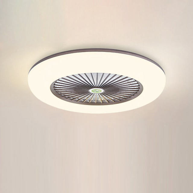 Enclosed Ceiling Fan with Led Lights 21.7 Inch Low Profile Ceiling Fan Light