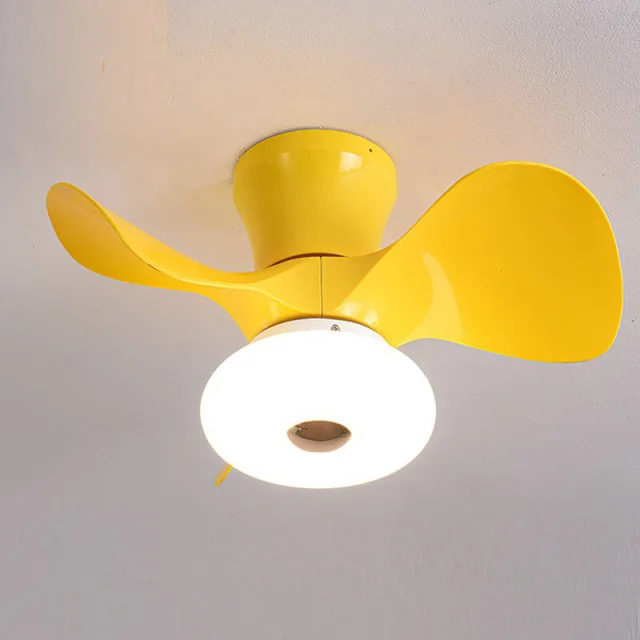 Ceiling Fan with Lights 22 inch Ceiling Fan with 3 Blades Remote Control