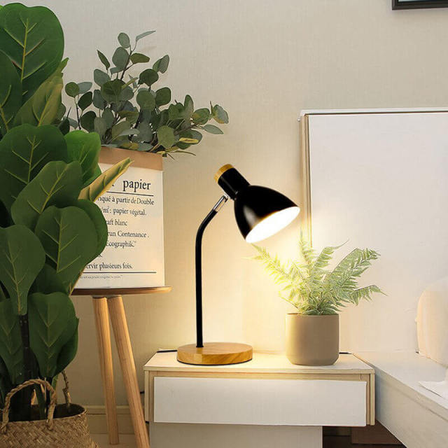 OOVOV Mini Bedside Desk Lamp Simple Bedroom Table Lamp Study Room Reading Small Desk Light With Adjustable Lamp head