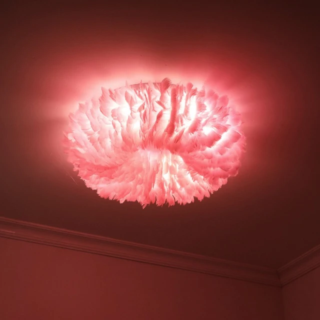 OOVOV White Feather Ceiling Lights LED Indoor Home Ceiling Light Fixture for Bedroom Dining Room Princess Room 50cm