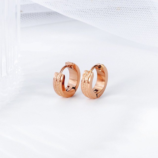 OOVOV Stainless Steel Frosted Ear Buckle,Titanium Steel Rose Gold Stud Earrings,Woman Zircon Stud Earrings Jewelry