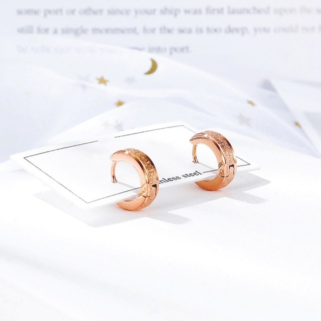 OOVOV Stainless Steel Frosted Ear Buckle,Titanium Steel Rose Gold Stud Earrings,Woman Zircon Stud Earrings Jewelry