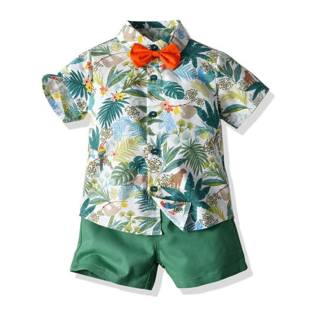 Hawai Boy Clothing Set Summer Fashion Floral  Casual 2Pcs Suit