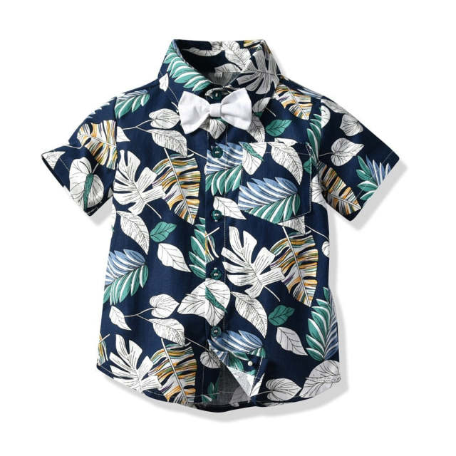 Hawai Boy Clothing Set Summer Fashion Floral  Casual 2Pcs Suit