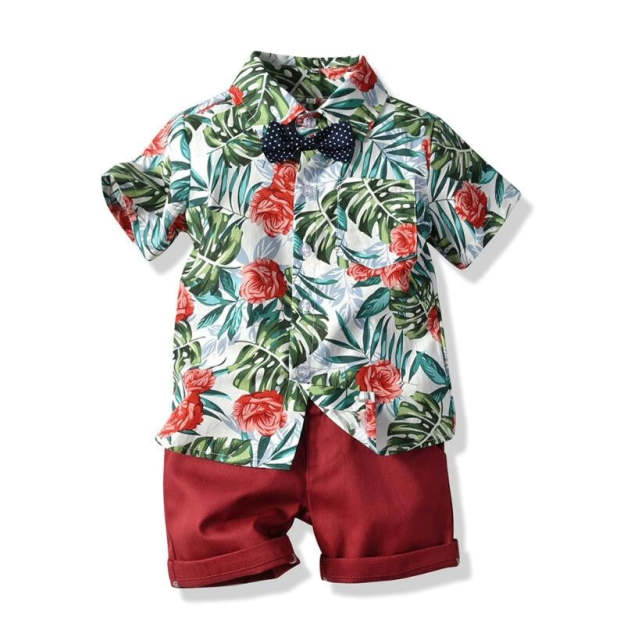 Hawai Boy Clothing Set Summer Fashion Floral  Casual 2Pcs Suit