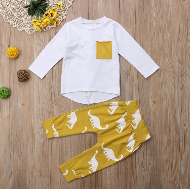 Toddler Kids Baby Boy Casual Long Sleeve T-shirt Pants 2PCS Set