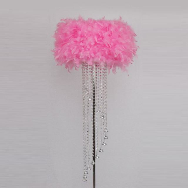 Modern Crystal Floor Lamp with Feather Shade,Chrome Finish and Plentiful Crystals for Living Room/ Bedroom/ Bedside